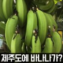 형진농장 네이버블로그