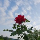 임마누엘피부과의원 이미지