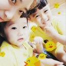 세원뼈다귀 이미지