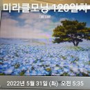 드라마 영어원서 읽기(파친코) 이미지