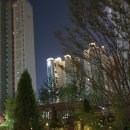 세교동 사거리 이미지