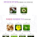 여궁 이미지