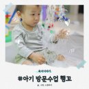 행복한 꼬마 거북이 이미지