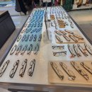 스펙트럼안경원 이미지