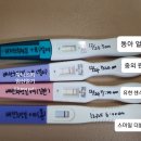 수범약국 이미지