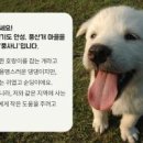 체험교구몰 이미지