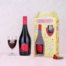 [테이스팅 후기] Villa M, 아영 FBC 빌라엠 크루 서포터즈 오프닝 파티