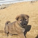 삼우자동차정비 이미지