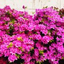 초원가든 이미지