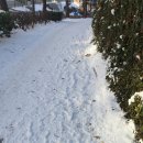 그림책과 함께하는 인성 수업 이미지