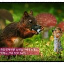밝은행정사사무소 이미지