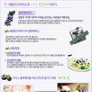 블루베리마트