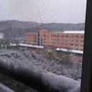 12월16일 눈이 옵니다 이미지