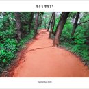 황토탕 - 영도구 청학남로 6 | 황토탕