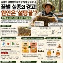 “24시간 설탕물 먹여 만든다” 믿었던 사양꿀의 불편한 진실 💊 이미지