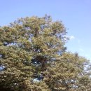 태실농장 이미지