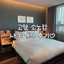 소노캄 고양 | [고양] 내돈내산 고양 소노캄 호캉스 후기(+조식)