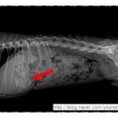 유앤동물의료원 이미지