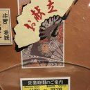 [삿포로/오타루/후지스시] Fujisushi 솔직후기
