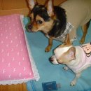 산이랑 바다 이미지