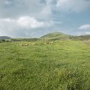 토지보상행정사 이미지