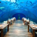 몰디브호텔 이미지