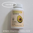 카젠 | 휴머뉴트리 아보카젠정 후기, 매일 아침 간편한 건강관리로 꾸준히 시작!