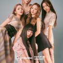 지니어스 이미지