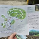 STAY. 보성 | 대한다원 포토스팟 소개, 코스 추천 / 보성 녹차밭 트래킹 바다전망대 후기