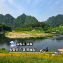 강원특별자치도 영월군 장애인문화복지센터 | 단종 유배지 강원도 영월 청령포 관음송 초등학생 역사투어