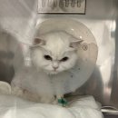 마음동물의료센터 이미지