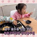 광주 용두동 분식 맛집 청춘꼬마김밥 양산용두점