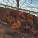 상주모동우체국 이미지