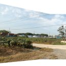 신월마을 이미지