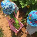 민재농장 이미지