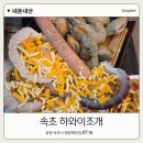 하와이 - 남구 왕생로 27 | 속초 등대해수욕장 조개구이 맛집 하와이조개 내돈내산 후기