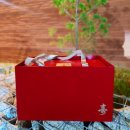 수한의원 | 상현동 한의원 직원의 녹용한약 수(壽) 복용후기