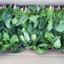 남해-266 이미지