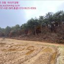 교로1리 마을회관 이미지