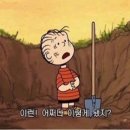600009 이미지