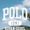 카시나 이미지