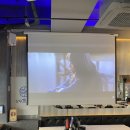 어시장칼국수 | 상무지구 횟집 추천 광주단체모임 회식하기 좋은 맛집 상무어시장ㅣ봄도다리 냄비칼국수 후기