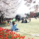 연지 이미지