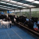 초방리농장 이미지