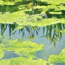 구리목1 이미지