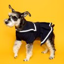 스마일독 이미지