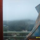 정이농장 이미지