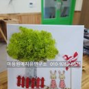 초록나무연구소