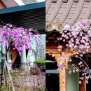 증평도서관 앞 이미지