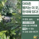 리더스코 이미지